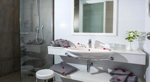 Одноместный номер Standard с видом на сад Djerba Plaza Thalasso & Spa
