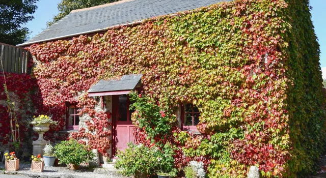 The Barn, Prenota Appartamento Helston 