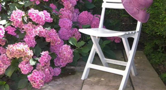 Апартаменты Les Hortensias