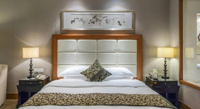 Двухместный номер Executive Wyndham Xinyang Downtown