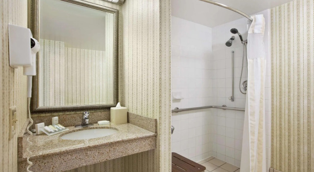 Четырёхместный номер Standard Hilton Garden Inn Oakbrook Terrace