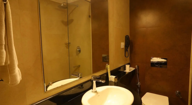 Номер Deluxe Quality Airport Hotels