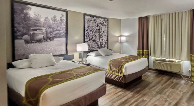 Super 8 by Wyndham Georgetown