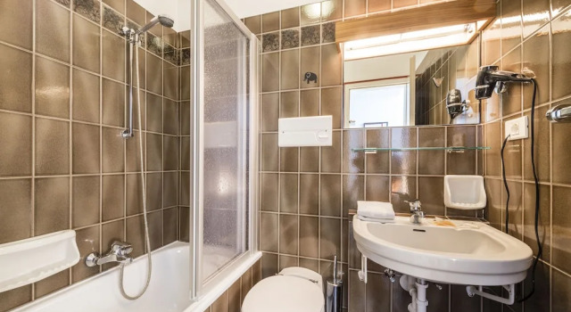 Двухместный номер Economy Hotel Elefant