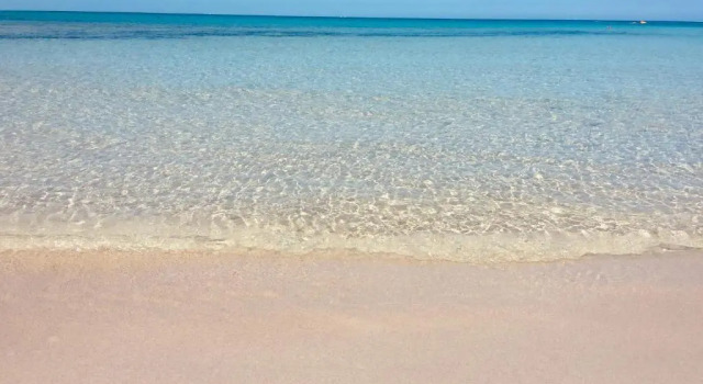Lejlighed Salento Appartamenti