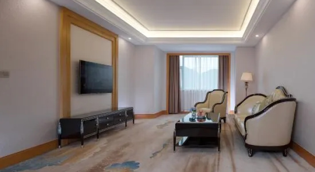 Люкс Executive Vienna International Hotel (Daxin Detian Square)