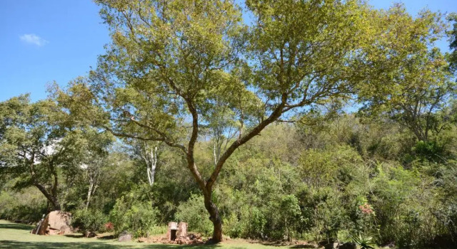Номер Standard Rocky Drift Private Nature Reserve