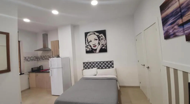 Апартаменты Loft Star The Palmer House