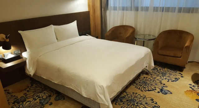 Camera Business Seeing Inn