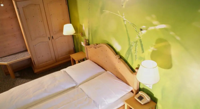 Двухместный номер Standard Hotel Sonneck