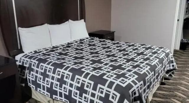 Номер Standard Palace Inn Sam Houston Race Park