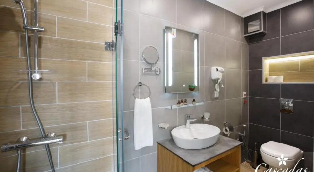 Двухместный номер Deluxe Cascadas Family Resort
