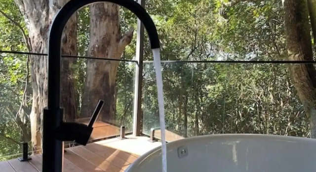 Коттедж Superior Treetops Seaview Montville