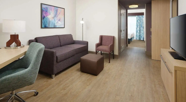 Двухместный полулюкс Hilton Garden Inn Atlanta NW/Kennesaw-Town Center