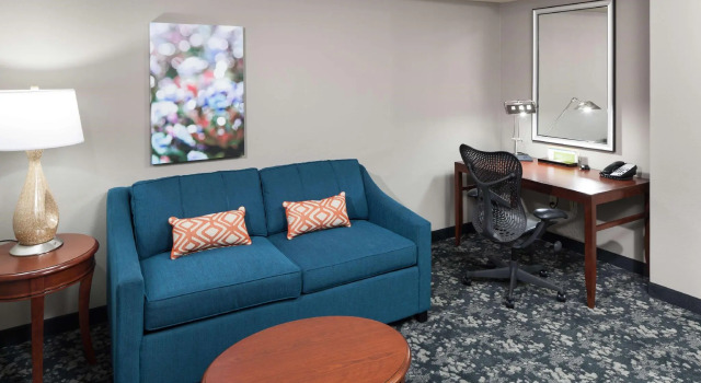 Четырёхместный люкс c 1 комнатой Hilton Garden Inn Frisco