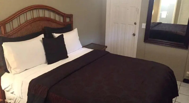 Двухместный номер Standard с видом на бассейн Coral Reef Guesthouse