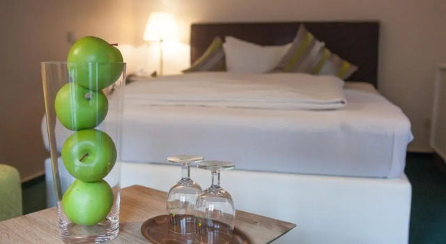 Одноместный номер Deluxe Hotel Am Grudenberg