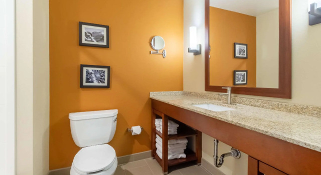 Четырёхместный люкс Comfort Inn & Suites - Harrisburg Airport - Hershey South