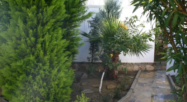 Luxury Villa Tilev
