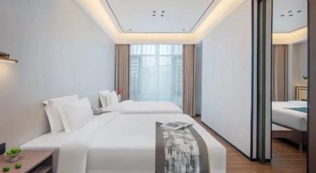 Люкс Yijia Hot Spring Holiday Hotel