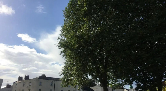 Коттедж 1 Phoenix Cottages, 403 High Street, Cheltenham