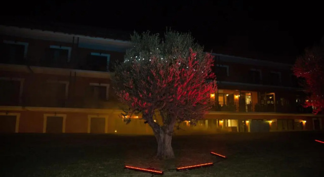 Трёхместный номер Standard Europa Beach Hotel