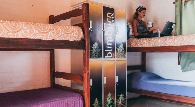 Кровать в общем номере THC Hostel Uruguay