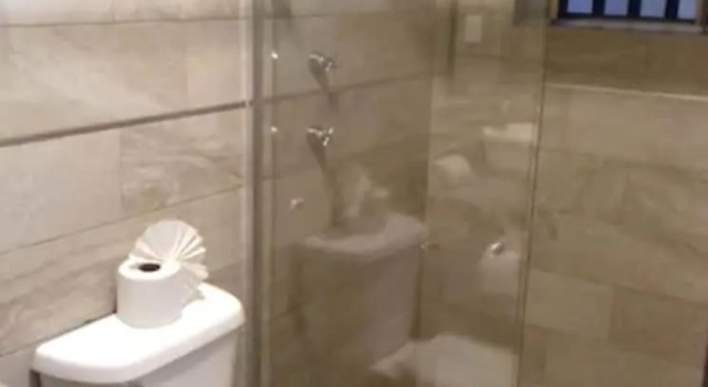Трёхместный семейный номер Standard Hotel Hidalgo