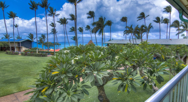 Номер Standard c 1 комнатой с видом на океан Napili Shores Maui by OUTRIGGER - No Resort & Housekeeping Fees