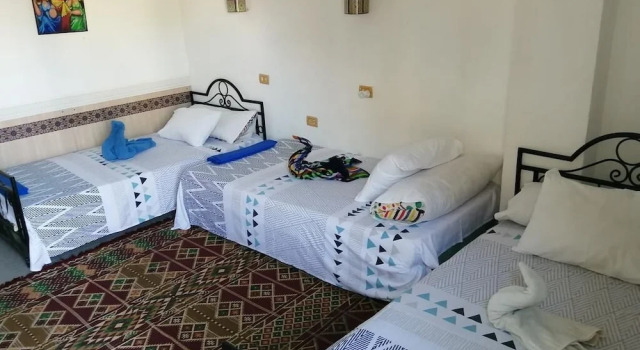 Трёхместный номер Standard с балконом и с видом на бассейн Monica Hotel