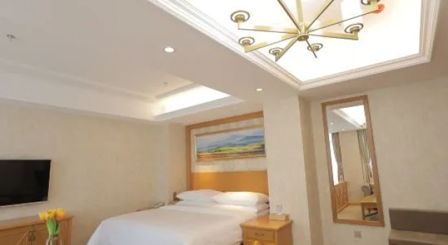 Люкс Standard Vienna Hotel (Shenyang Central Street)