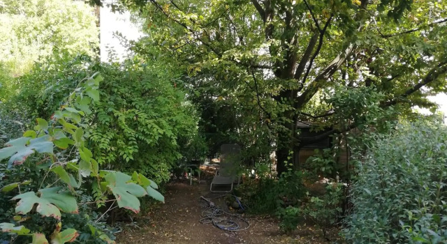 Room in maisonette with garden, parking place, Prenota Hotel Vienna Austria, vicino a Braunschweiggasse