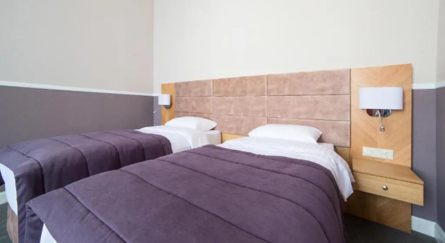Номер Economy Modern Art Hotel - Maestro