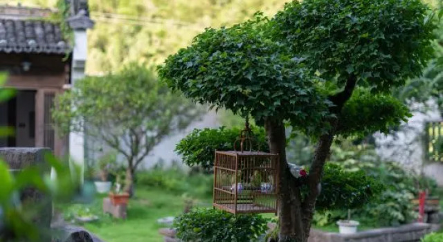 Huangshan yunwai jianshanxi B&B