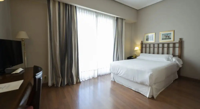 Одноместный номер Barceló León Conde Luna