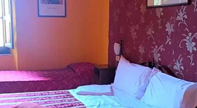 Komfort- værelse Hotel Europa