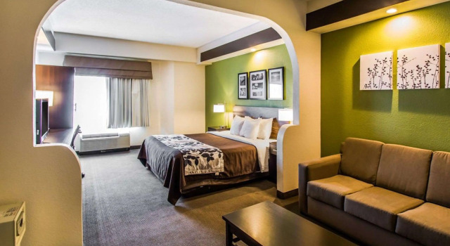 Двухместный люкс Sleep Inn & Suites Orlando International Airport