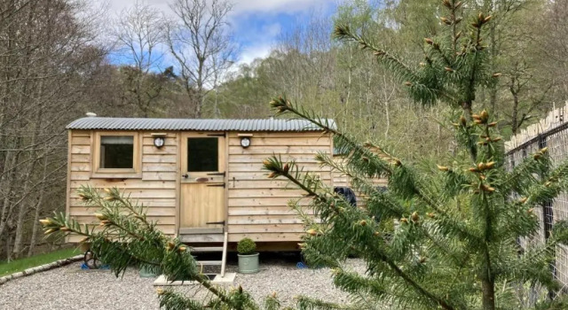 Шале c 1 комнатой Highland Bear Lodge & Woodland Bear Huts