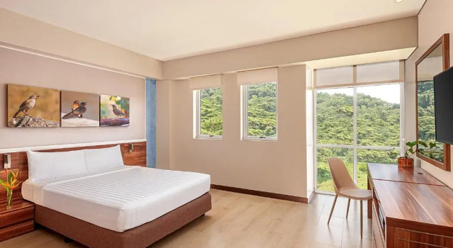 Двухместный номер Standard Pico Sands Hotel