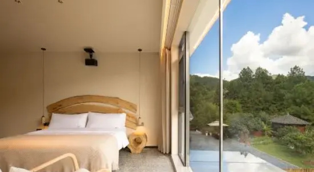 Люкс Deluxe Qingmo Hidden Mid-Mountain Hotel