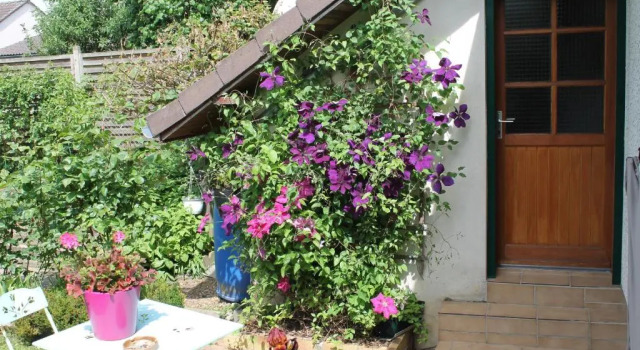 Chambre dHôtes "Orchidees", Забронировать Отель СПА-отели Eure-et-Loir, SPA-услуги