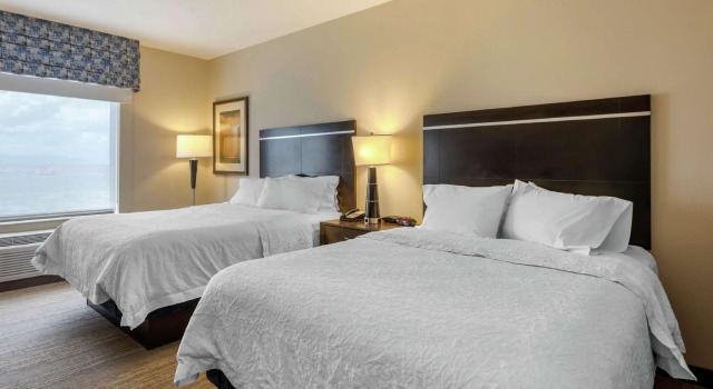 Четырёхместный номер Standard Hampton Inn Alamosa