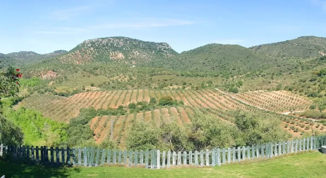 House With 2 Bedrooms in Puerto Serrano, With Wonderful Mountain View,, Book Feriehus Puerto Serrano Andalusien