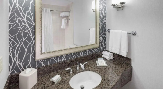 Четырёхместный номер Premium Hilton Garden Inn Detroit/Novi
