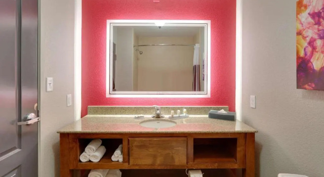 Двухместный номер La Quinta by Wyndham Dallas Love Field