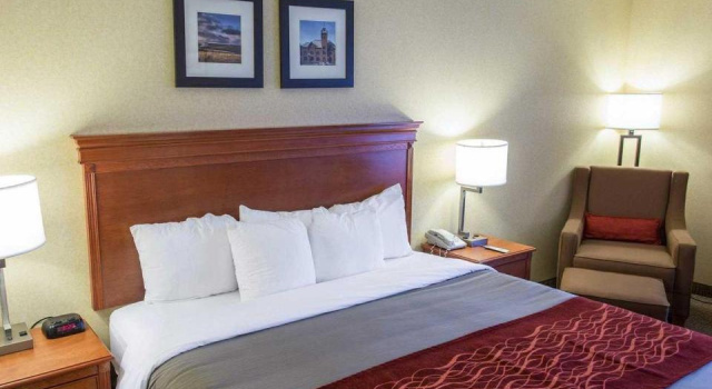 Номер Standard Comfort Inn & Suites Edgewood