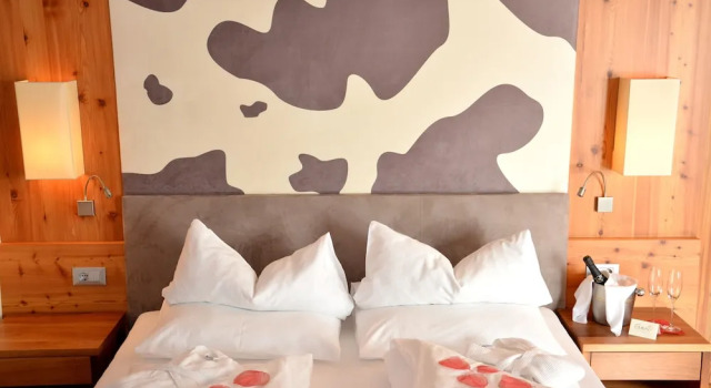 Номер Superior Hotel Emmy - five elements