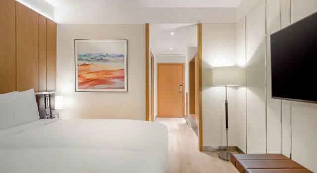 Двухместный номер Standard с видом на город AC Hotel by Marriott Saint-Julien-en-Genevois