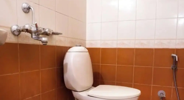 Люкс Deluxe Hotel royal inn