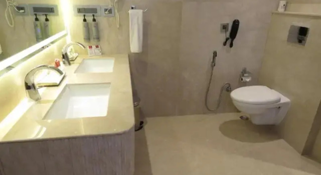 Люкс Standard Lords Plaza, Surat